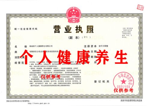 出讓海南省個人健康養(yǎng)生有限公司咨詢策劃服務(wù)