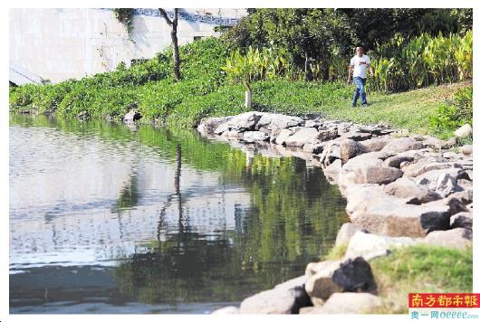 寶安治水攻堅顯成效 61條河流實現“零干河、零黑臭”，年末沖刺迎關鍵驗收