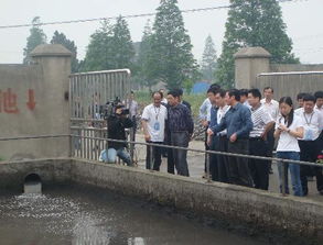 強化監管，系統治理 區人大五項建議助推水污染防治工作邁向新臺階