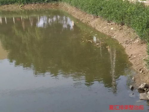 叮 這是東莞水污染治理的答卷，請(qǐng)您閱卷